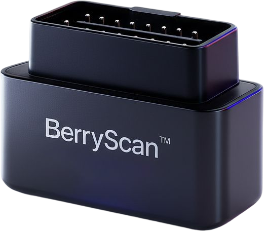 Boîtier de diagnostic BerryScan